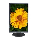 24"" Elo ET2420L DVI/HDMI Blu-ray 1080p Widescreen