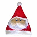 High Quality Cute Christmas Hat with Santa Claus S