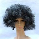 Fluffy Hair Cosplay Wig Hairpiece - Explosion Head