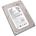 Seagate ST3160215ACE 160GB UDMA/100 7200RPM 2MB ID