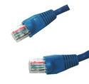 2FT Blue Cat 5 Cable