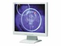 NEC 17" LCD Monitor