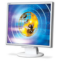 19" LCD Monitor - Misc Manufacturer