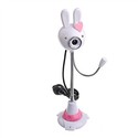 White Rabbit Digital Web Camera