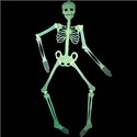 Luminous Human Skeleton Decoration for Halloween