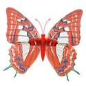 Ornamental Magnetism Fluorescent Butterfly Flexibl