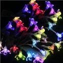 2.5m 20-LED Plum Blossom Shaped Battery Powered Co