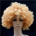 Fluffy Hair Cosplay Wig Hairpiece - Explosion Head