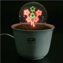 Star Shaped Light Bulb in Flowerpot with Grass Sha