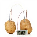 To add this item in your Shopping Cart drag and drop this picture there