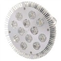 E27 12W 6000K 1080 Lumen LED Light Lamp with 12 LE