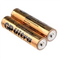 GP 24AU 1.5V AAA Battery Alkaline Cell Battery (2 