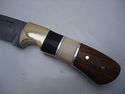 Pioneer Custom Made Damascus Steel Hunting Knife N