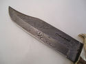 Pioneer Custom Made Damascus Steel Hunting KnifeNe