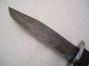 Pioneer Hand Made Damascus Steel Hunting Knife New