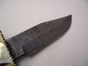 Pioneer Custom Made Damascus Steel Hunting KnifeNe