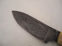 Pioneer Custom Made Damascus Steel Hunting Knife N