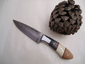 Pioneer Custom Made Damascus Steel Hunting Knife N