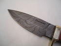 Pioneer Custom Made Damascus Steel Hunting Knife N