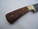 Pioneer Custom Made Damascus Steel Hunting Knife N