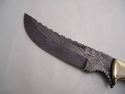 Pioneer Custom Made Damascus Steel Hunting Knife N
