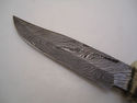 Pioneer Custom Made Damascus Steel Hunting Knife N