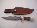 Pioneer Custom Made Damascus Steel Hunting Knife N