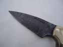 Pioneer Custom Made Damascus Steel Hunting Knife N