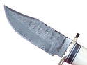 Pioneer Custom Made Damascus Steel Hunting Knife N