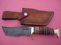 Pioneer Custom Made Damascus Steel Hunting Knife N