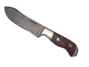 Pioneer Custom Made Damascus Steel Hunting Knife N