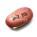 To add this item in your Shopping Cart drag and drop this picture there