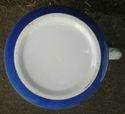 1969-89 Carlton Ware cobalt blue/white rose stonew