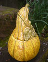 1960s Metlox Poppytrail - squash canister - (veget