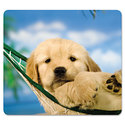 Click here to view item details