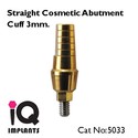 Straight Cosmetic Abutment for Dental Implants Imp