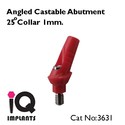 10 Angled Castable Abutments 25º  for Dental Impl
