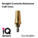 Straight Cosmetic Abutment for Dental Implants Imp