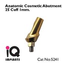 5 Anatomic Cosmetic Abutments 25º Dental Implants