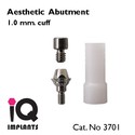 5 Aesthetic Titanium Abutment for Dental Implants 