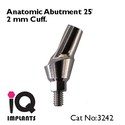 5 Angled Anatomic Abutments 25º Dental Implants P