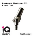 5 Angled Anatomic Abutments 25º Dental Implants P