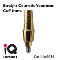 Straight Cosmetic Abutment for Dental Implants Imp
