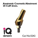 5 Anatomic Cosmetic Abutments 25º Dental Implants