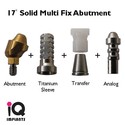 Set of 1 Solid Multi Fix Abutment 17º + Open/Clos