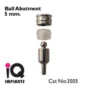 2 Ball Titanium Abutments for Dental Implants Impl