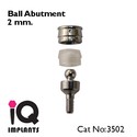 2 Ball Titanium Abutments for Dental Implants Impl