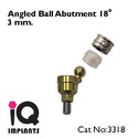 5 Angled Titanium Ball Abutments 18º Dental Impla