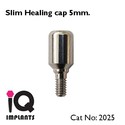 Slim Healing Abutment for Dental Implants Implant 