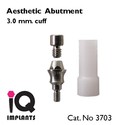 5 Aesthetic Titanium Abutment for Dental Implants 